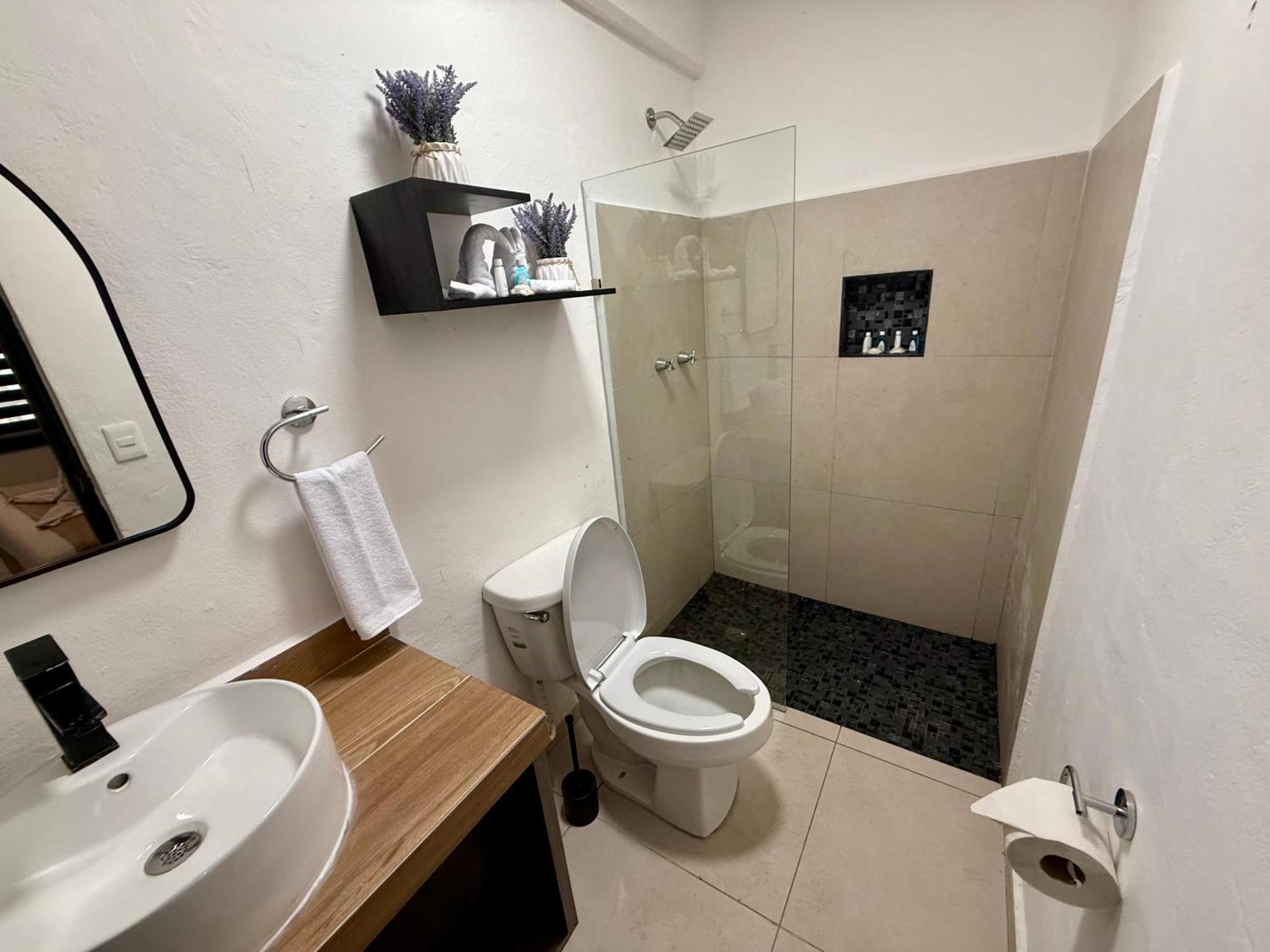 Casa Tortuga 5Th Ave Hotel Playa del Carmen Ngoại thất bức ảnh