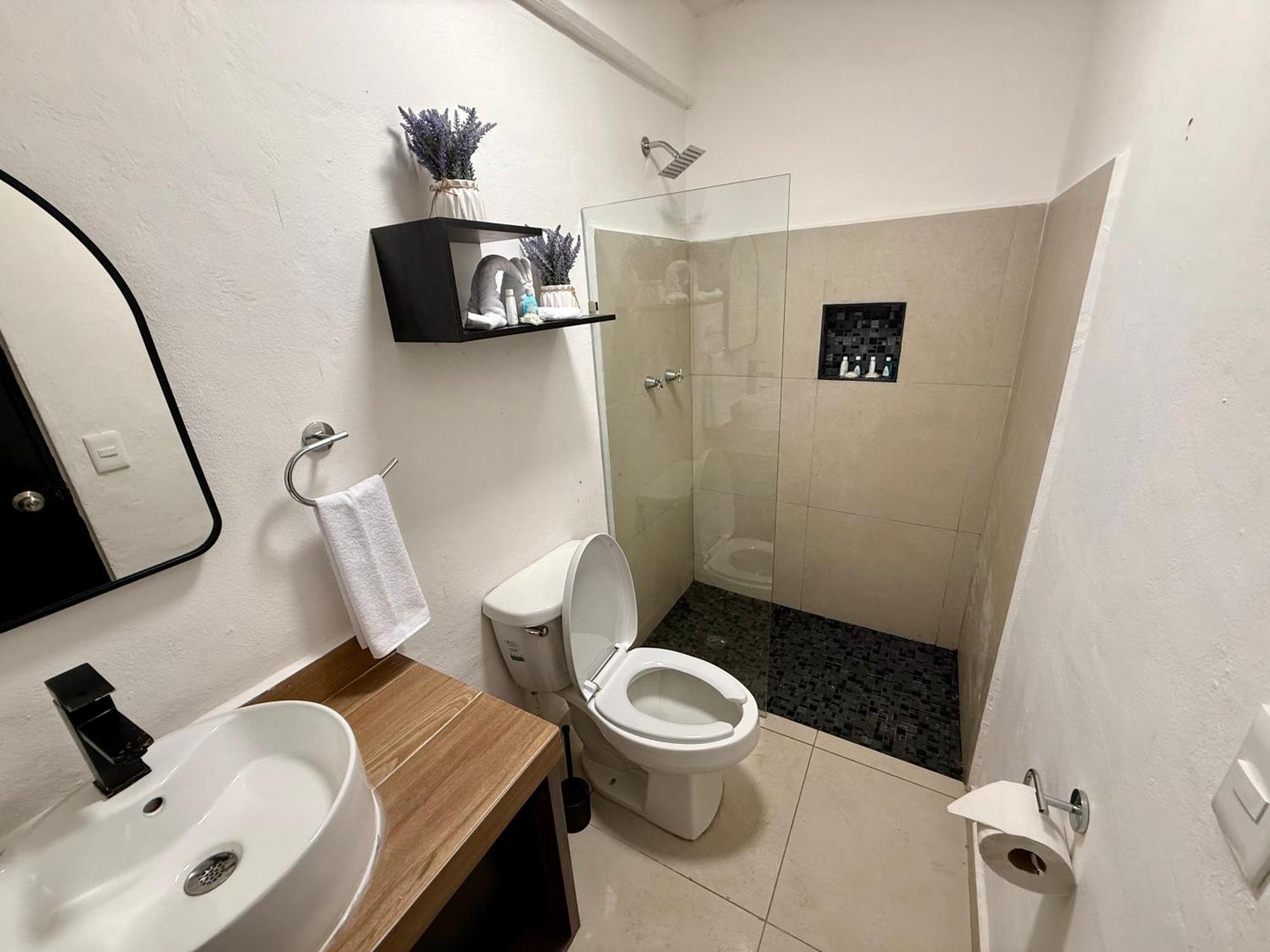 Casa Tortuga 5Th Ave Hotel Playa del Carmen Ngoại thất bức ảnh