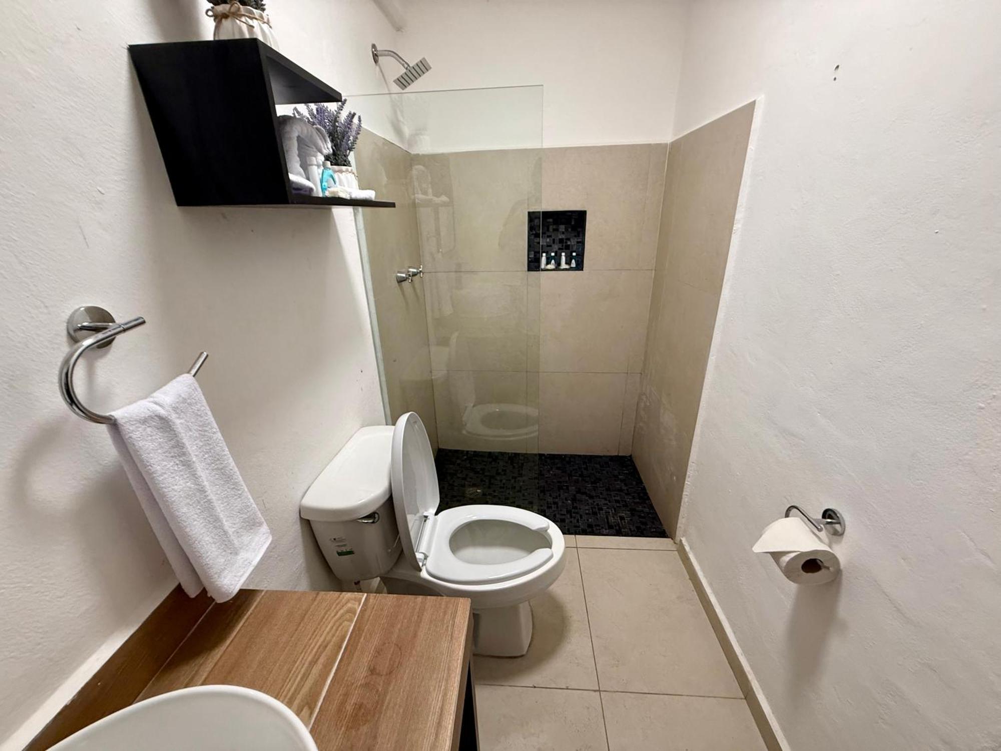 Casa Tortuga 5Th Ave Hotel Playa del Carmen Ngoại thất bức ảnh